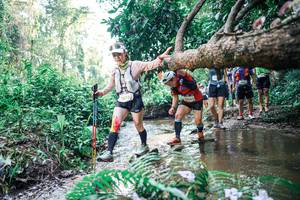 BIB: 
                            <button type="button" onclick="openModal(25461582)" class="btn btn-primary btn-sm float-right btn-popup" data-toggle="modal" data-target=".modal-high-quality">
                        <i class="fas fa-shopping-cart"></i> Add to Cart
                    </button>
                                            <button type="button" onclick="isThisMe(25461582, true)" class="btn btn-success btn-sm float-right btn-popup btn-isme hidden" data-toggle="tooltip" data-placement="bottom" title="นี่คือรูปของคุณใช่ไหม คลิกที่นี่เพื่อเอาเข้าอัลบั้ม">
                        <i class="fas fa-plus"></i> Add to album
                    </button>
                    <button type="button" onclick="isThisMe(25461582, false)" class="btn btn-warning btn-sm float-right btn-popup btn-isnotme hidden">
                        <i class="fas fa-ban"></i> Remove from album
                    </button>